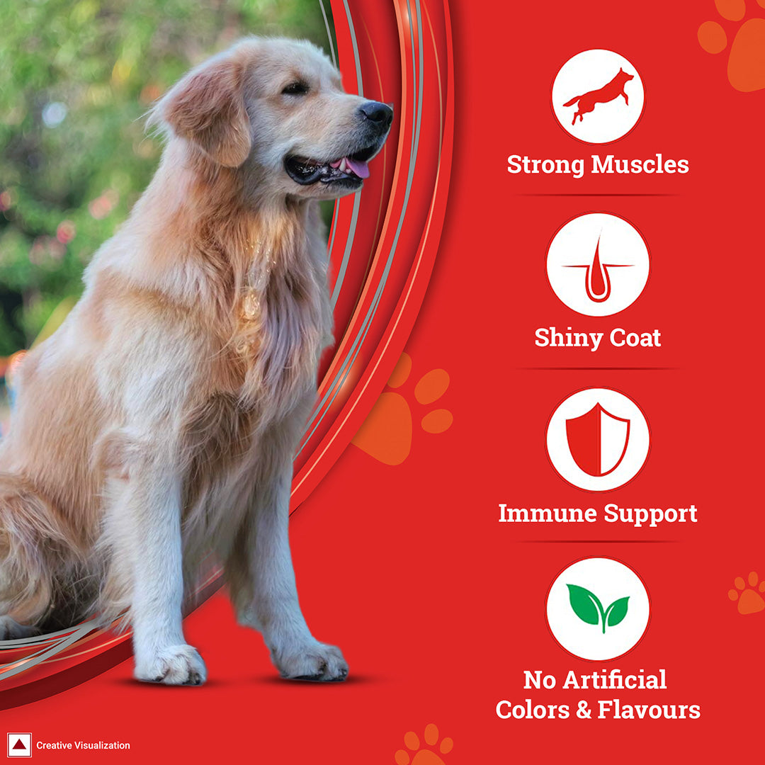 Purina SUPERCOAT Adult Dry Dog Food, 1+ Years, With Chicken, Smartblend Precise Nutrition for Whole Body Health, No Artificial Colours & Flavours, 2.5 Kg