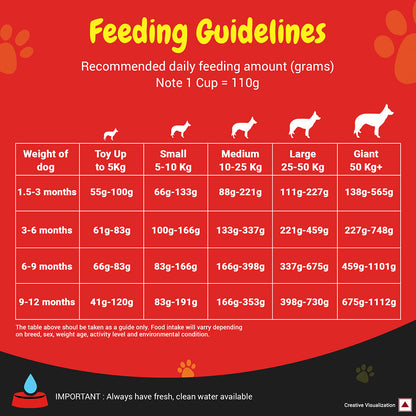 Purina SUPERCOAT Puppy Dry Dog Food, Up To 12 Months, With Chicken, Smartblend Precise Nutrition for Whole Body Health, No Artificial Colours & Flavours, 10Kg Bag