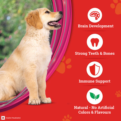 Purina SUPERCOAT Puppy Dry Dog Food, Up To 12 Months, With Chicken, Smartblend Precise Nutrition for Whole Body Health, No Artificial Colours & Flavours, 2.5 kg