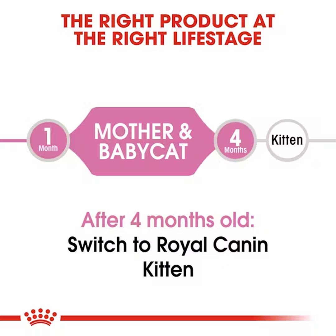 Royal Canin Mother & Babycat Food, 2 Kg, Dry Food, Supports Mother Cat & Newborn Kittens up to 4 Months, Promotes Healthy Early Development