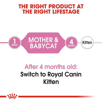Royal Canin Mother & Babycat Food, 2 Kg, Dry Food, Supports Mother Cat & Newborn Kittens up to 4 Months, Promotes Healthy Early Development