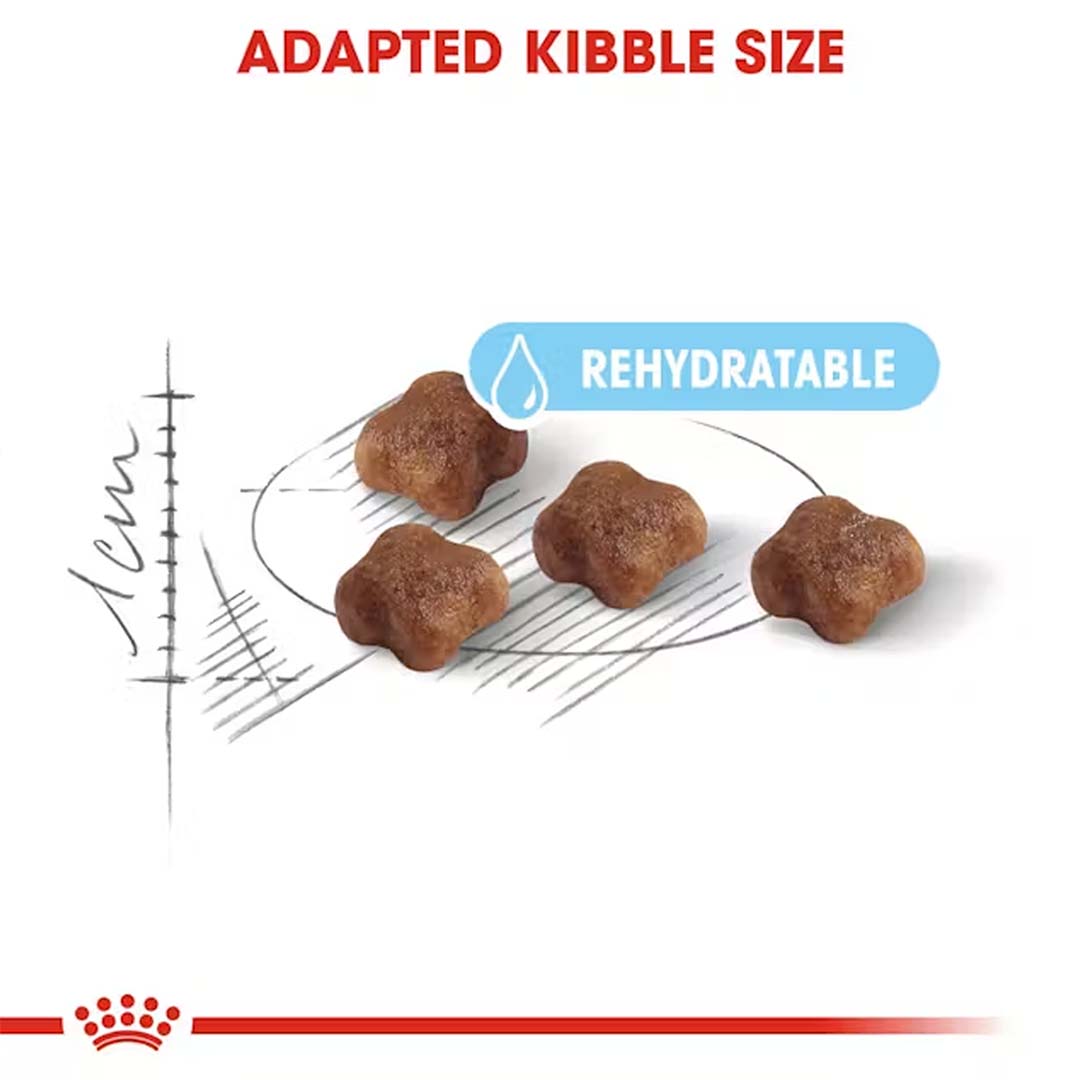 Royal Canin Mother & Babycat Food, 2 Kg, Dry Food, Supports Mother Cat & Newborn Kittens up to 4 Months, Promotes Healthy Early Development