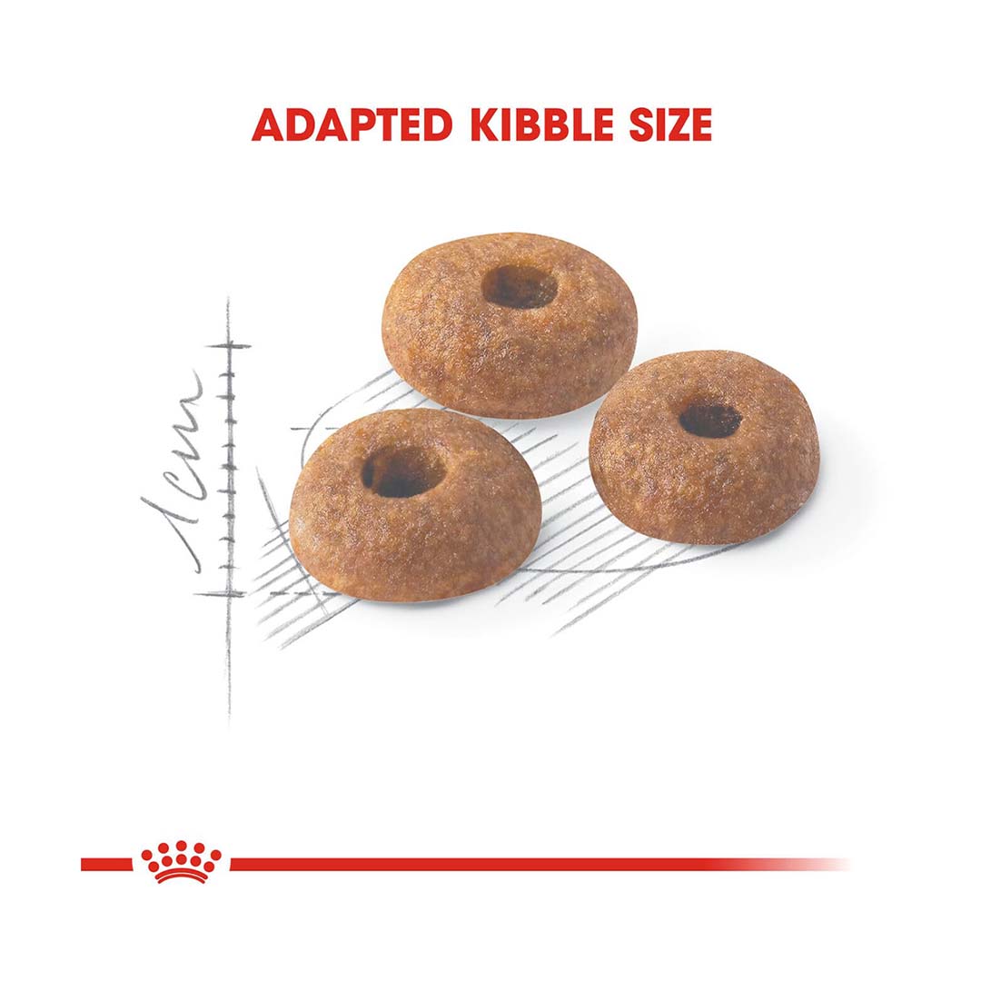 Royal Canin Fit 32 Adult Cat Food, 2 Kg, Dry Food, Supports Healthy Weight & Urinary Health, Promotes Digestive Health