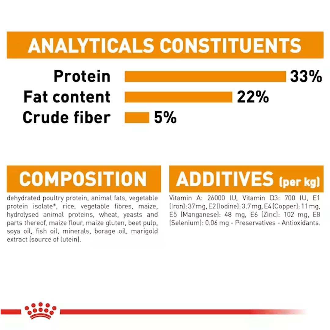 Royal Canin Hair & Skin Care Adult Cat Food, 1.02 Kg, Wet Food, Supports Healthy Skin & Shiny Coat, Promotes Omega Balance