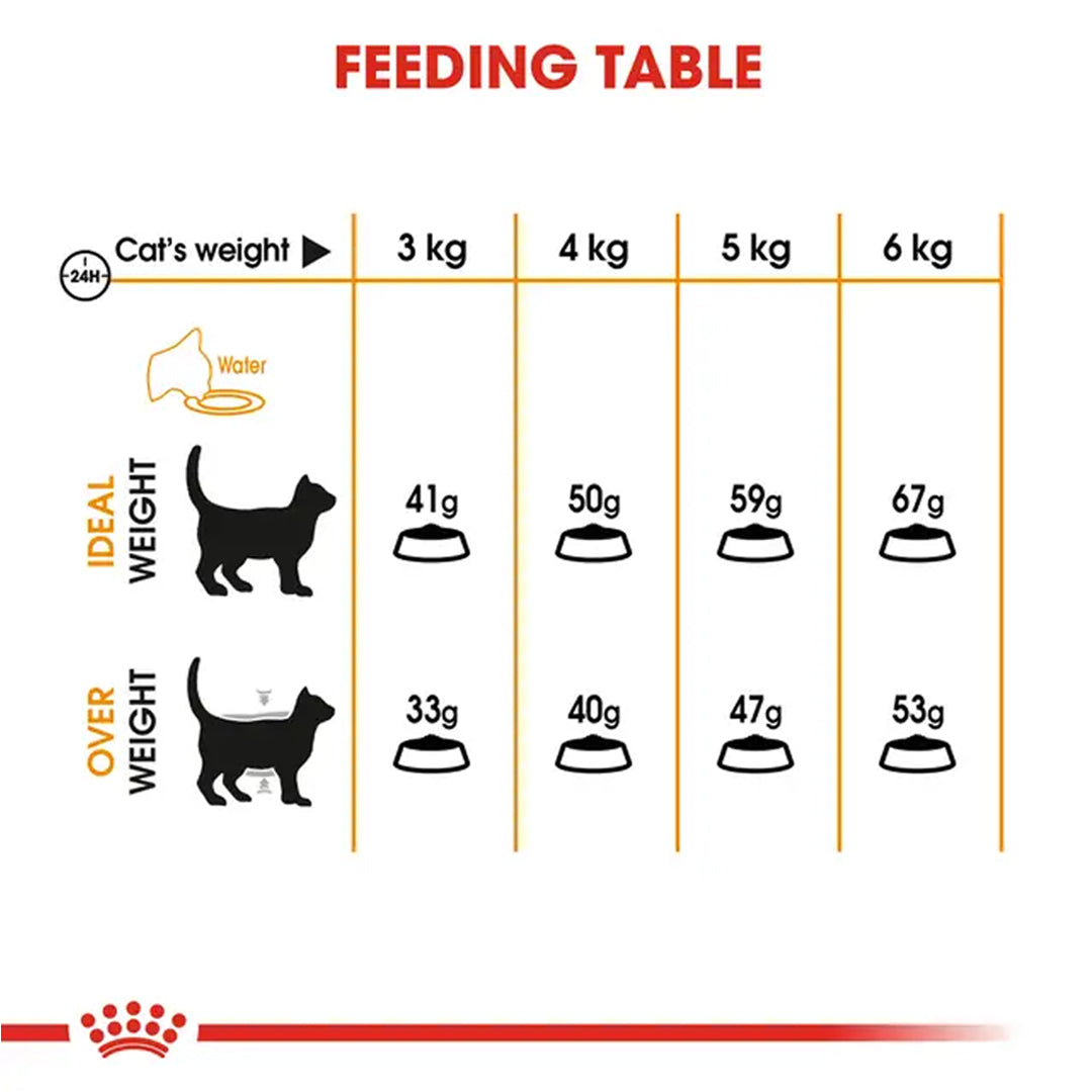Royal Canin Hair & Skin Care Adult Cat Food, 1.02 Kg, Wet Food, Supports Healthy Skin & Shiny Coat, Promotes Omega Balance