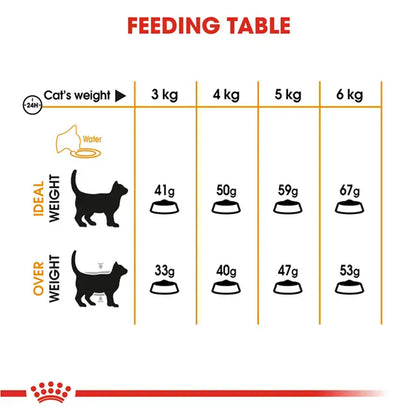 Royal Canin Hair & Skin Care Adult Cat Food, 1.02 Kg, Wet Food, Supports Healthy Skin & Shiny Coat, Promotes Omega Balance