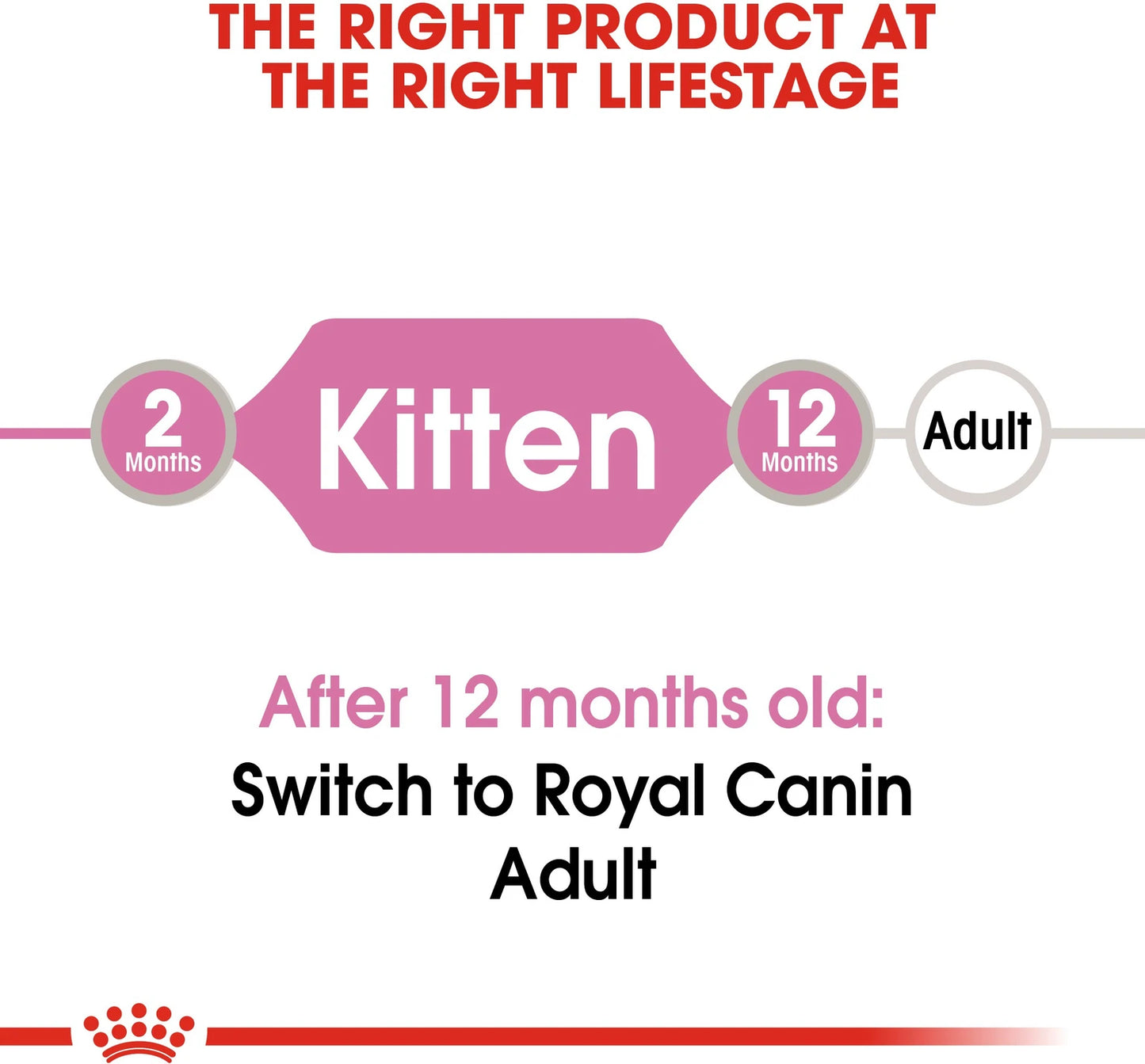 Royal Canin Kitten Food, 1.02 Kg, Wet Food, Supports Immune System & Brain Development, Promotes Healthy Growth
