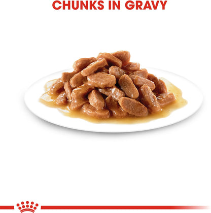 Royal Canin Kitten Food, 1.02 Kg, Wet Food, Supports Immune System & Brain Development, Promotes Healthy Growth