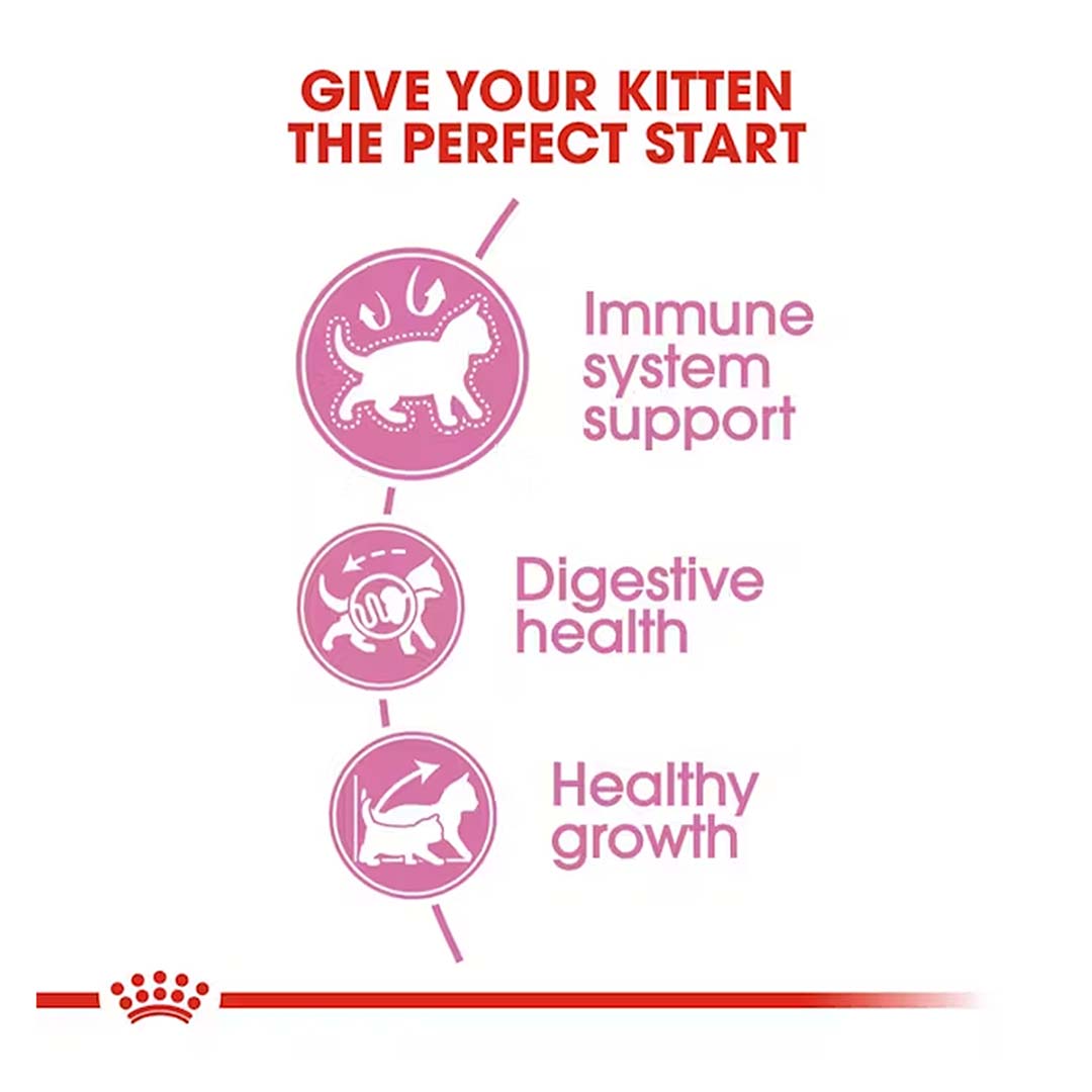 Royal Canin Kitten Food, 2 Kg, Dry Food, Supports Immune System & Brain Development, Promotes Healthy Growth