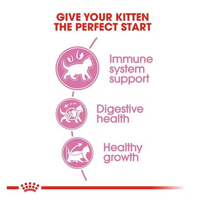 Royal Canin Kitten Food, 2 Kg, Dry Food, Supports Immune System & Brain Development, Promotes Healthy Growth