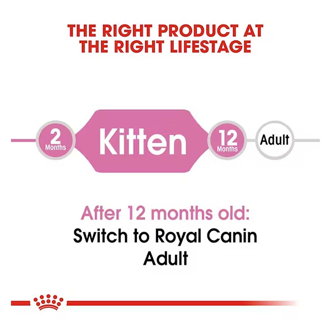 Royal Canin Kitten Food, 2 Kg, Dry Food, Supports Immune System & Brain Development, Promotes Healthy Growth