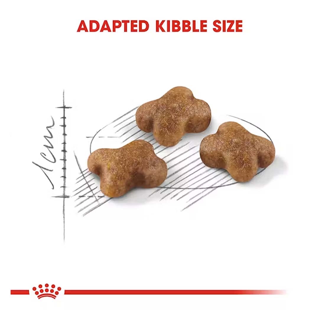 Royal Canin Kitten Food, 2 Kg, Dry Food, Supports Immune System & Brain Development, Promotes Healthy Growth