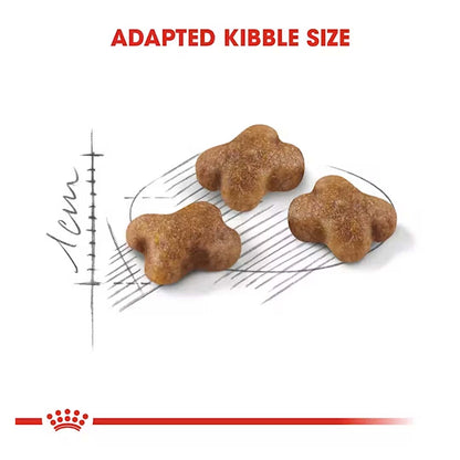 Royal Canin Kitten Food, 2 Kg, Dry Food, Supports Immune System & Brain Development, Promotes Healthy Growth