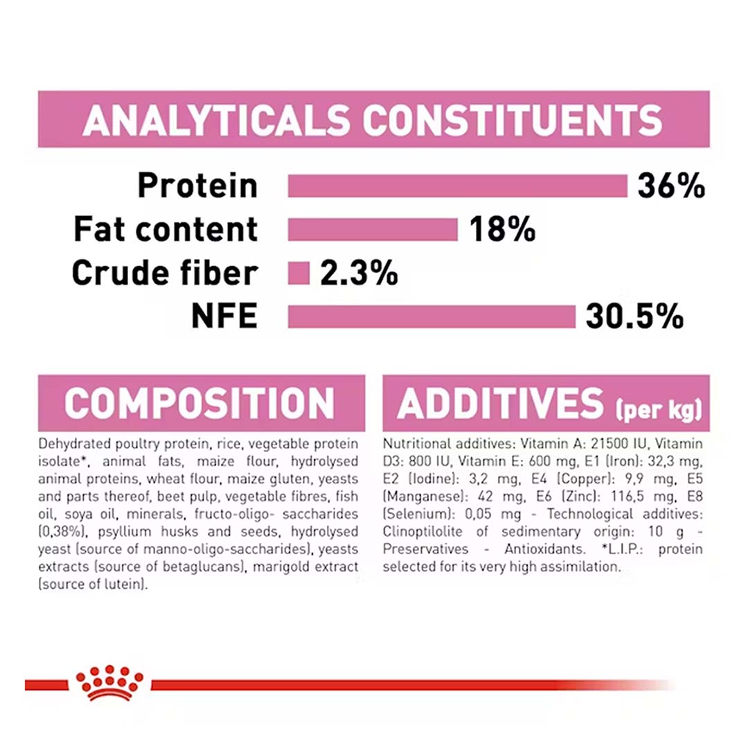 Royal Canin Kitten Food, 2 Kg, Dry Food, Supports Immune System & Brain Development, Promotes Healthy Growth