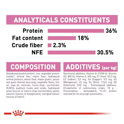 Royal Canin Kitten Food, 2 Kg, Dry Food, Supports Immune System & Brain Development, Promotes Healthy Growth