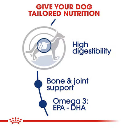 Royal Canin Maxi Adult Dog Food, 1 Kg, Dry Food, Supports Digestive Health & Bone & Joint Health, Maintains Ideal Muscle Mass