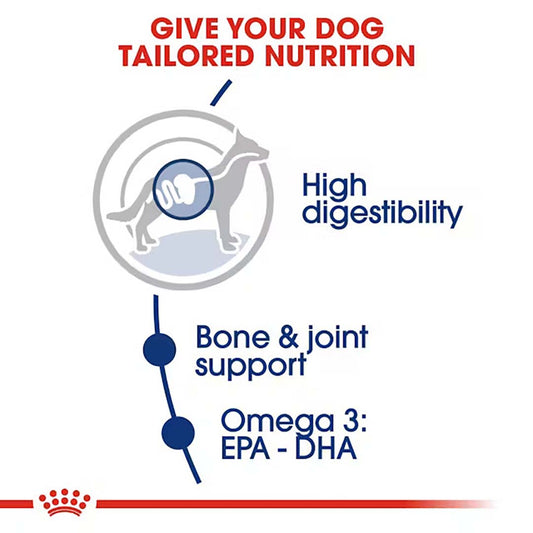 Royal Canin Maxi Adult Dog Food, 1 Kg, Dry Food, Supports Digestive Health & Bone & Joint Health, Maintains Ideal Muscle Mass