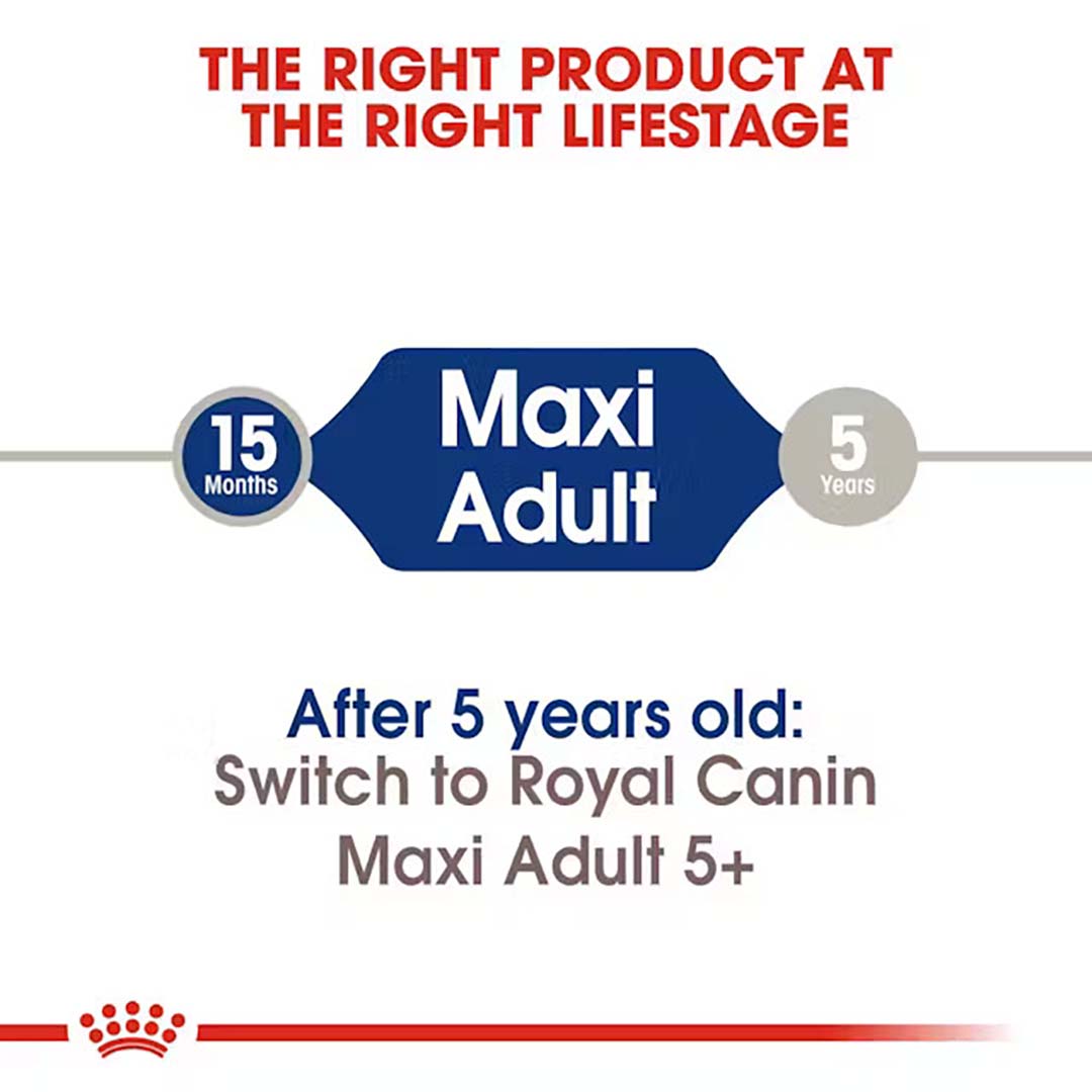 Royal Canin Maxi Adult Dog Food, 1 Kg, Dry Food, Supports Digestive Health & Bone & Joint Health, Maintains Ideal Muscle Mass