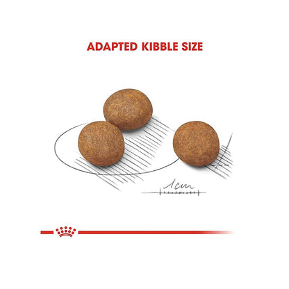Royal Canin Maxi Puppy Food, 1 Kg, Dry Food, Supports Immune System & Digestive Health, Promotes Long Controlled Growth
