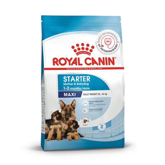 Royal Canin Maxi Starter Mother & Babydog Food, 1 Kg, Dry Food, Supports Immune System & Digestive Health, Promotes Healthy Growth