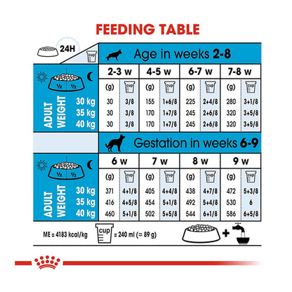 Royal Canin Maxi Starter Mother & Babydog Food, 1 Kg, Dry Food, Supports Immune System & Digestive Health, Promotes Healthy Growth