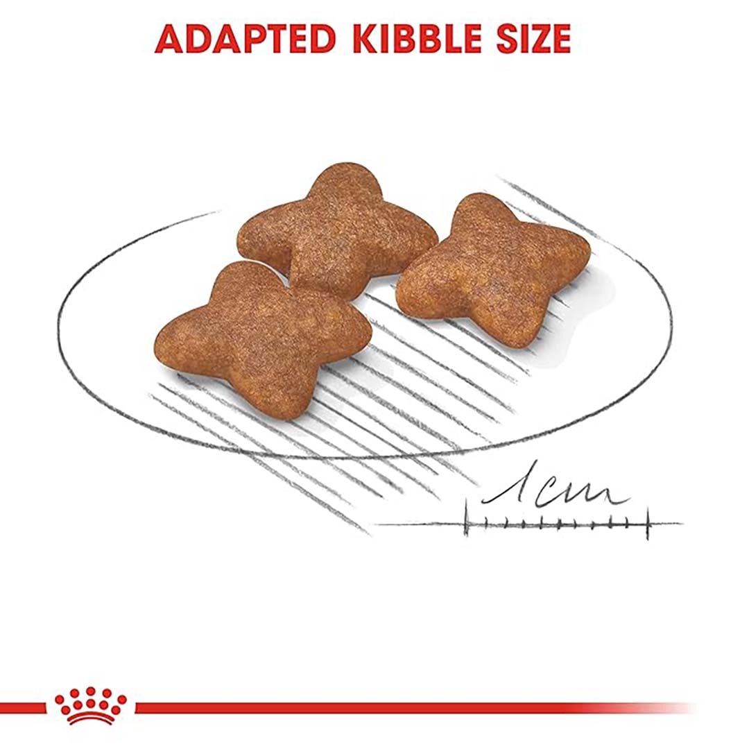 Royal Canin Mini Adult Dog Food, 2 Kg, Dry Food, Supports Digestive Health & Dental Hygiene, Maintains Ideal Weight