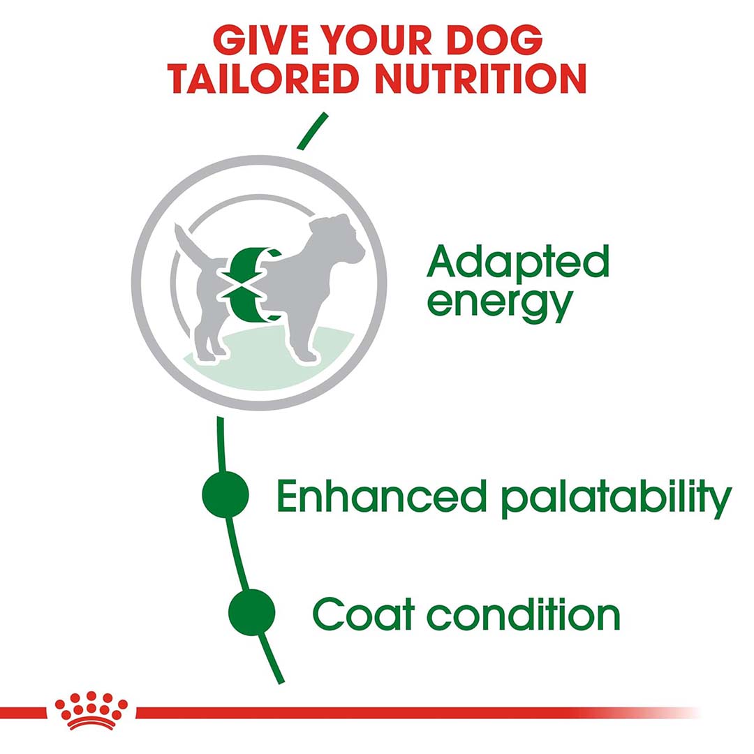 Royal Canin Mini Adult Dog Food, 2 Kg, Dry Food, Supports Digestive Health & Dental Hygiene, Maintains Ideal Weight