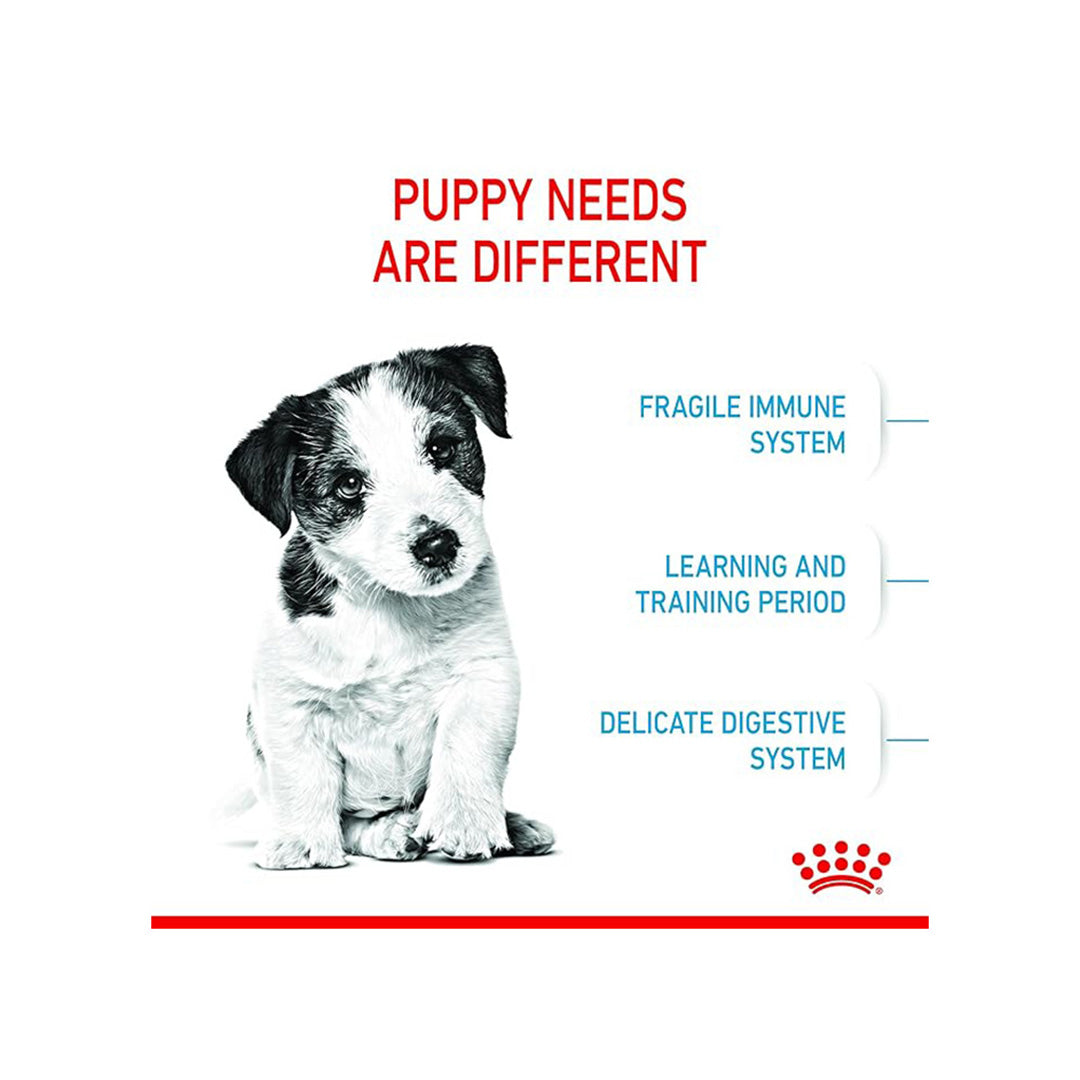 Royal Canin Mini Puppy Food, 800 g, Dry Food, Supports Immune System & Digestive Health, Promotes Healthy Growth