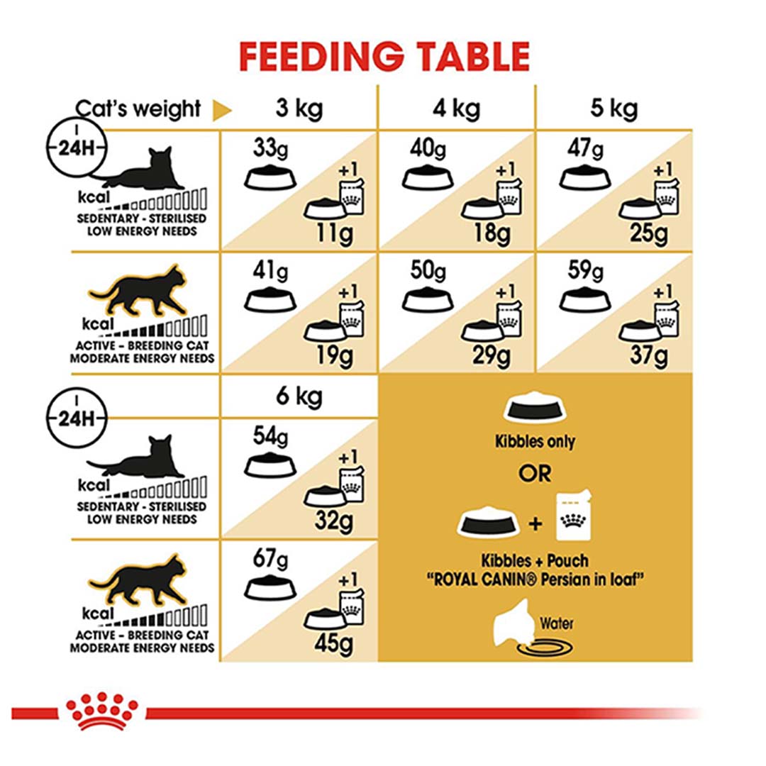 Royal Canin Persian Adult Cat Food, 400 g, Dry Food, Supports Healthy Skin & Long Coat, Promotes Digestive Health