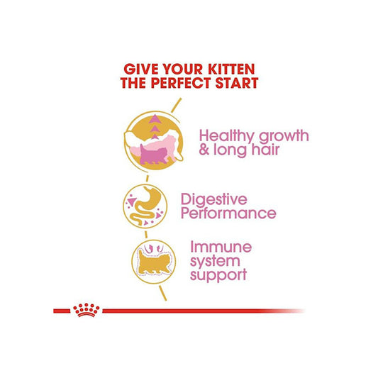 Royal Canin Persian Kitten Food, 1 Kg, Dry Food, Supports Immune System & Healthy Growth, Promotes Healthy Skin & Long Coat