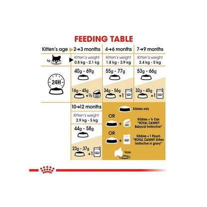 Royal Canin Persian Kitten Food, 1 Kg, Dry Food, Supports Immune System & Healthy Growth, Promotes Healthy Skin & Long Coat