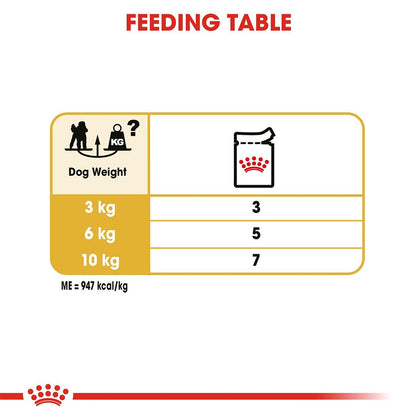 Royal Canin Persian Kitten Food, 400 g, Dry Food, Supports Immune System & Healthy Growth, Promotes Healthy Skin & Long Coat