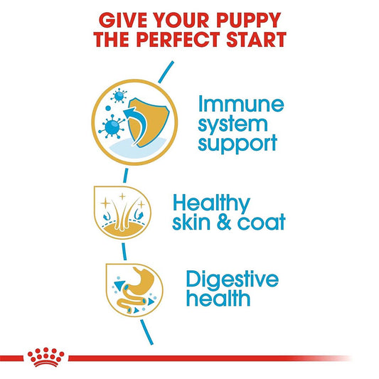 Royal Canin Shih Tzu Puppy Food, 1.5 Kg, Dry Food, Supports Immune System & Digestive Health, Promotes Healthy Growth