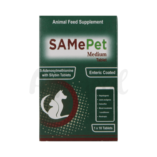 SAME PET MEDIUM TABLET - Animeal