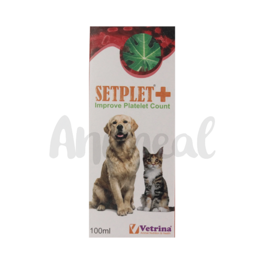 SETPLET PLUS SYRUP - Animeal