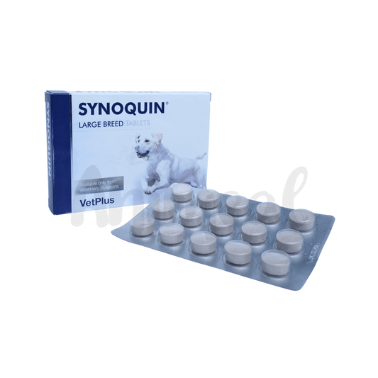 SYNOQUIN EFA LARGE BREED TABLET - Animeal