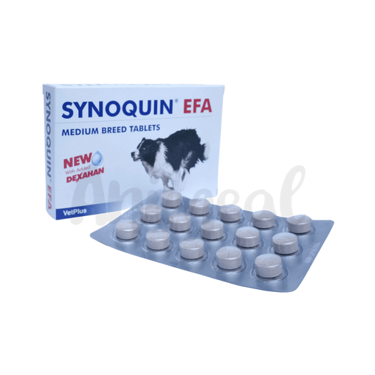 SYNOQUIN EFA MEDIUM BREED TABLET - Animeal