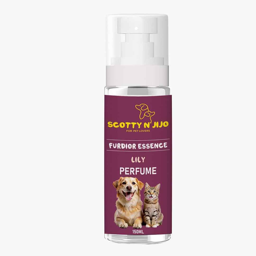 Scotty n' Jijo Furdior Essence-Lily