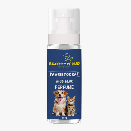 Scotty n' Jijo Pawristocrat-Wild Blue