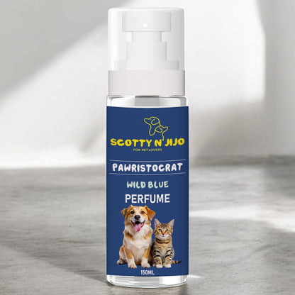 Scotty n' Jijo Pawristocrat-Wild Blue