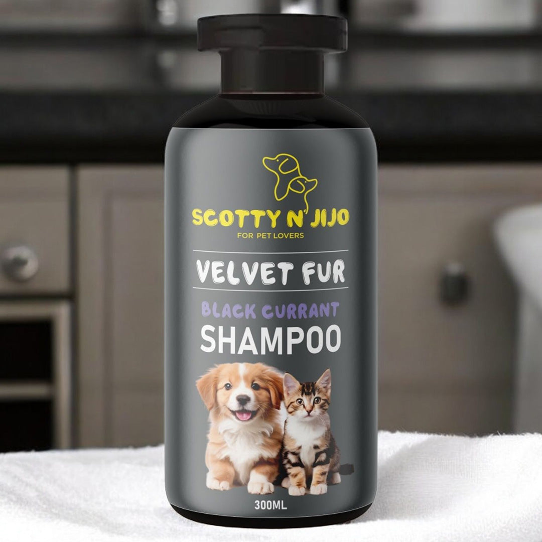 Scotty n' Jijo Velvet Fur-Black Currant