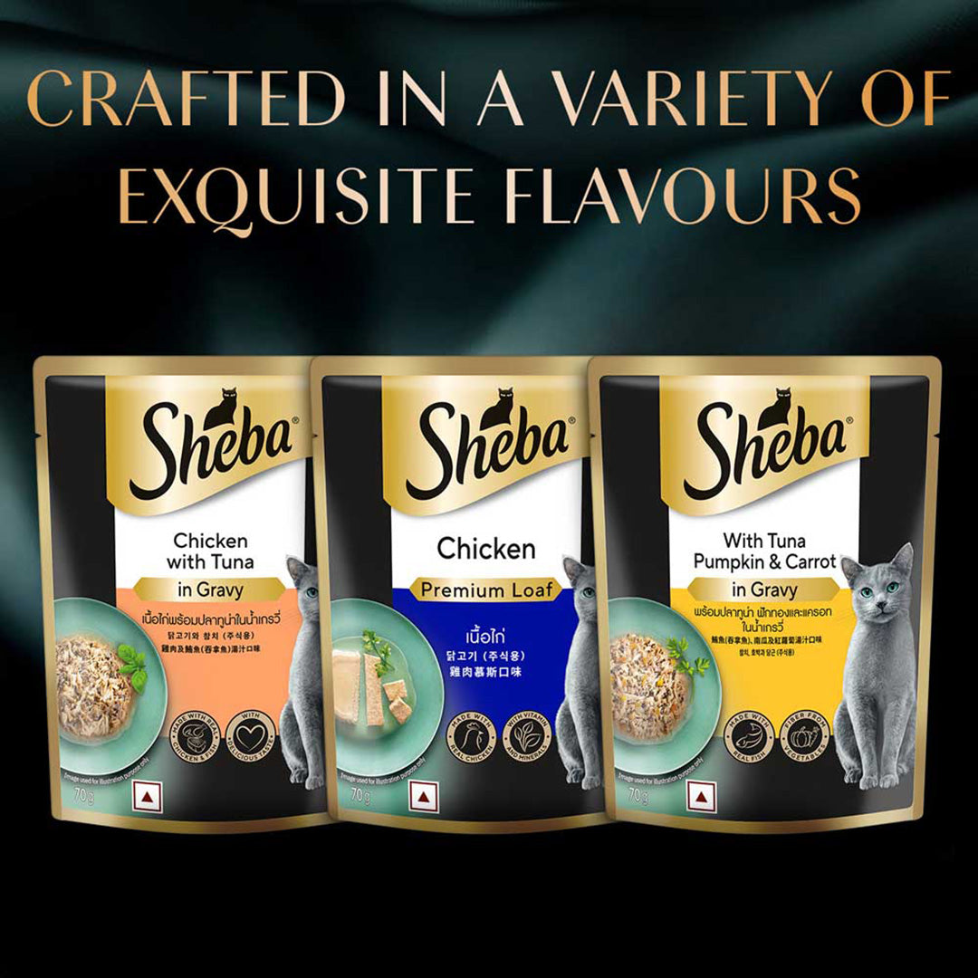 Sheba Fine Premium Adult (1+ Years) Wet Cat Food, Chicken Premium Loaf, 70 g Pouch, High-moisture gravy cat food for healthy hydration