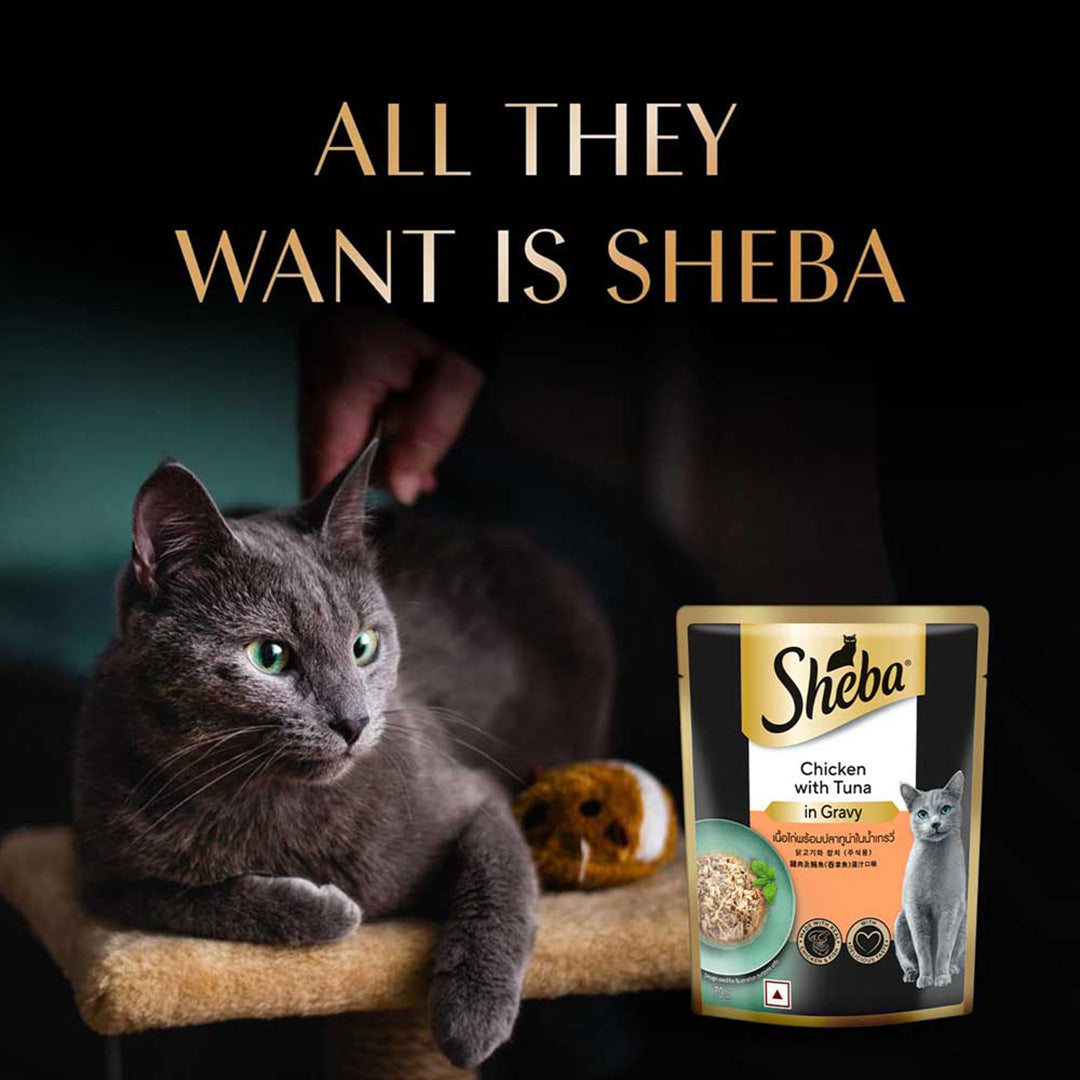 Sheba Fine Premium Adult (1+ Years) Wet Cat Food, Chicken with Tuna in Gravy, 70 g Pouch, High-moisture gravy cat food for healthy hydration