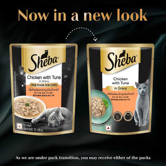 Sheba Fine Premium Adult (1+ Years) Wet Cat Food, Chicken with Tuna in Gravy, 70 g Pouch, High-moisture gravy cat food for healthy hydration