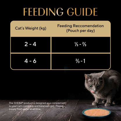 Sheba Fine Premium Adult (1+ Years) Wet Cat Food, Tuna Pumpkin & Carrot in Gravy, 70 g Pouch, High-moisture gravy cat food for healthy hydration