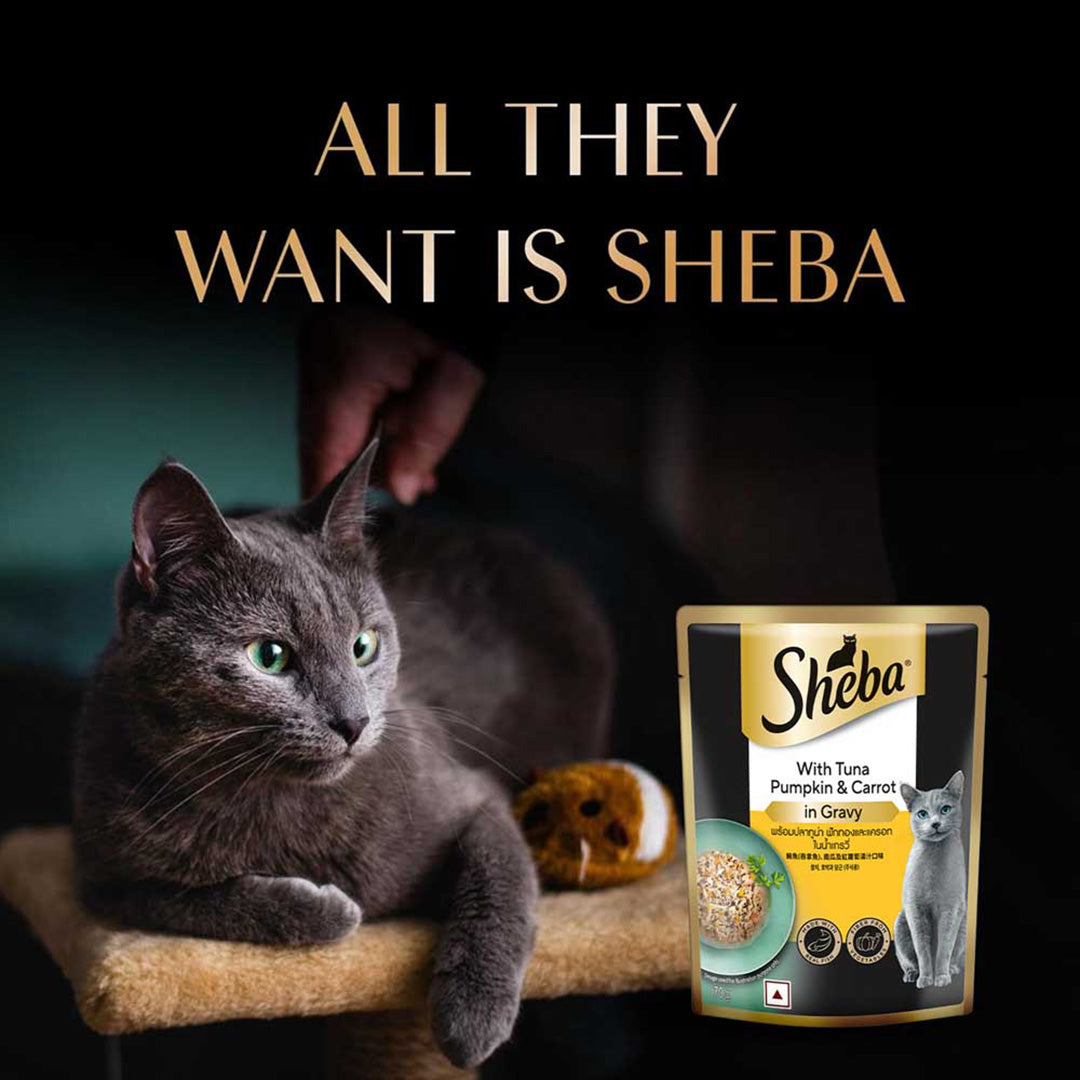 Sheba Fine Premium Adult (1+ Years) Wet Cat Food, Tuna Pumpkin & Carrot in Gravy, 70 g Pouch, High-moisture gravy cat food for healthy hydration
