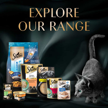 Sheba Fine Premium Adult (1+ Years) Wet Cat Food, Tuna Pumpkin & Carrot in Gravy, 70 g Pouch, High-moisture gravy cat food for healthy hydration