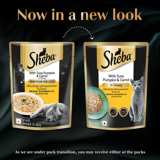 Sheba Fine Premium Adult (1+ Years) Wet Cat Food, Tuna Pumpkin & Carrot in Gravy, 70 g Pouch, High-moisture gravy cat food for healthy hydration