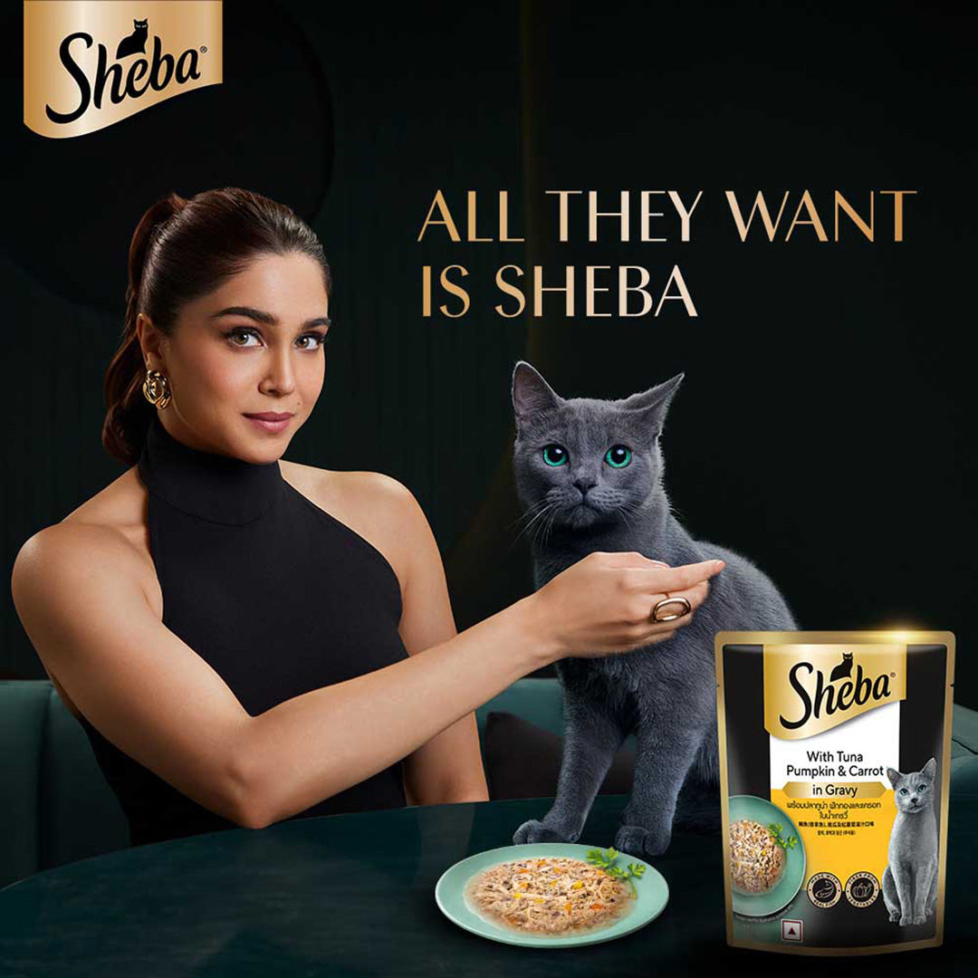 Sheba Fine Premium Adult (1+ Years) Wet Cat Food, Tuna Pumpkin & Carrot in Gravy, 70 g Pouch, High-moisture gravy cat food for healthy hydration