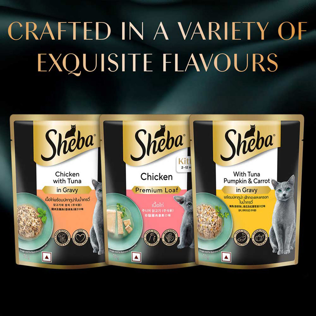 Sheba Fine Premium Kitten (2-12 months) Wet Cat Food, Chicken Premium Loaf, 70 g Pouch, High-moisture gravy kitten cat food for healthy hydration